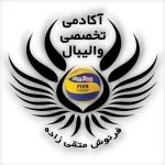آکادمی والیبال متقی زاده