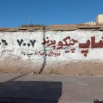 پت شاپ چیکو