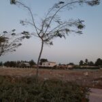 شهرک خانه
