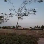 شهرک خانه