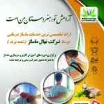 شرکت نهال ماساژ