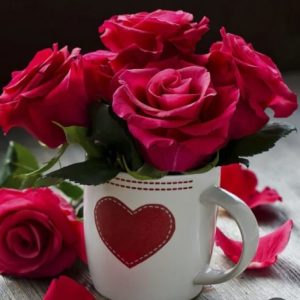 آماده به کارحراست