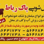 قالیشویی و مبل شویی و رفوگری (پاک رباط )