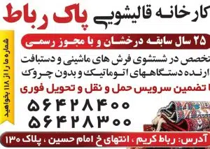 قالیشویی و مبل شویی و رفوگری (پاک رباط )