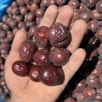 زعفران فالارگ