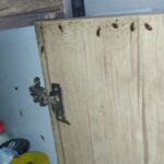 شرکت سمپاشی آتیه